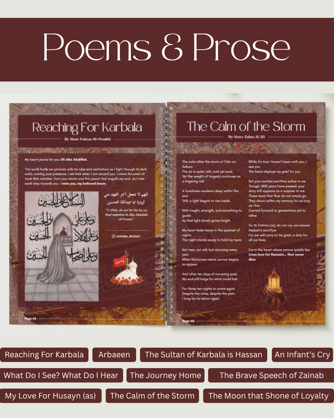 Day Of Arbaeen Guide  [Digital Download]